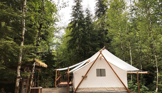 Rustic and Spacious Safari Tent in Forks, Washington, Perfect for a Glamping Getaway to the Pacific Northwest in Forks