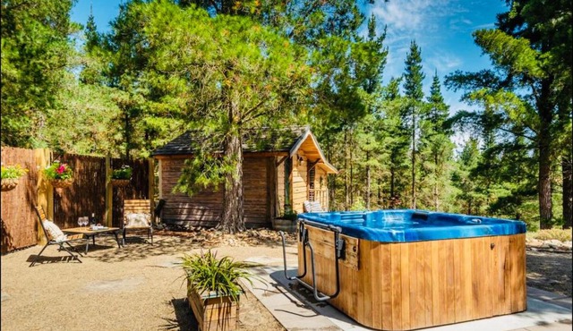 Rustic cabin with hot tub - Homewood Forest Retreat