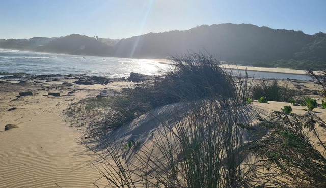 Sandy Toes Airbnb