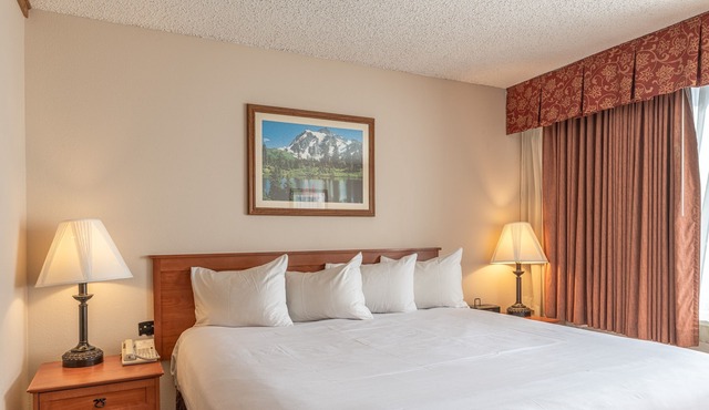 Studio With 2 Kings In Base Area 1 Bedroom Condo - No Cleaning Fee! by Redawning