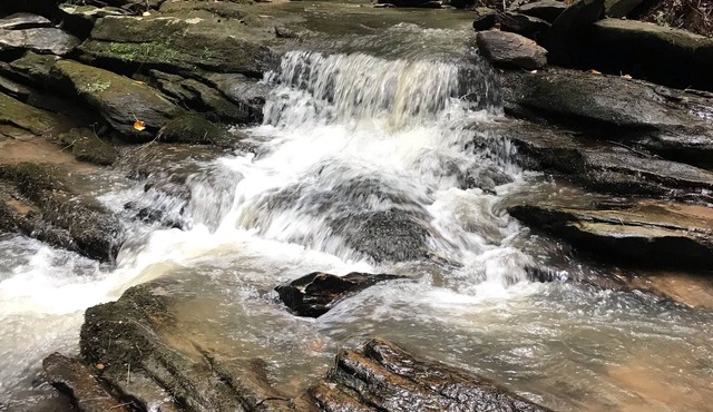 Summer Discount! River & creek, waterfall, hot tub, fire pit, dogs OK