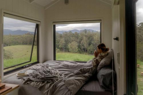 Tiny Nancy in Bellingen