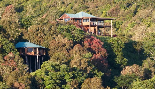 Tranquil Jungle Cabin for a Weekend Getaway in the Queensland Rainforest