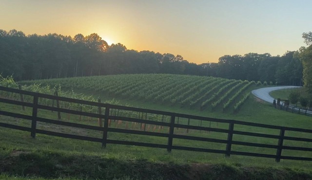 Tranquility and sunrise mountain views. Mins to town!