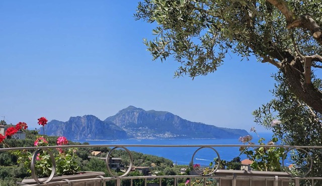 Villa Luci di Capri, Sorrento Coast - New Jacuzzi® Spa, Solar Shower & Lift