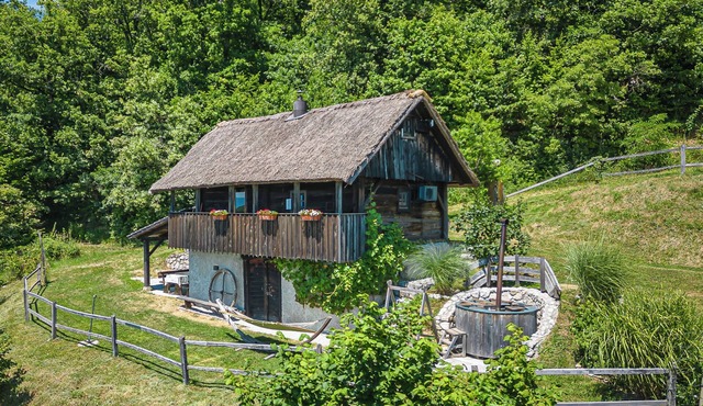 Vineyard Cottage Pavlin 1, Otočec, Slovenia