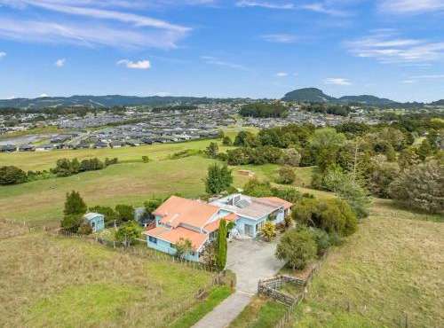 Whangarei holiday gardens