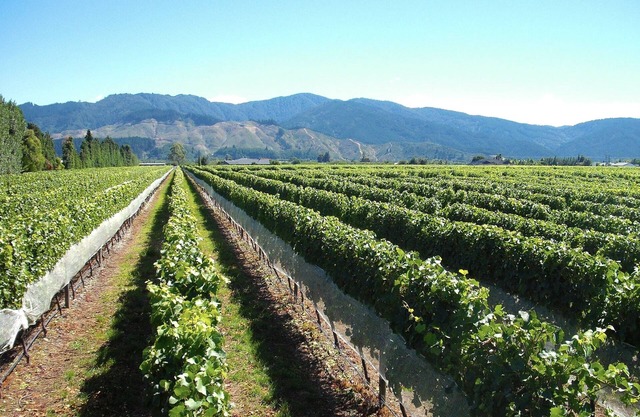 Marlborough Magic Rapaura Holiday 