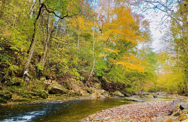 Whispering Creek 