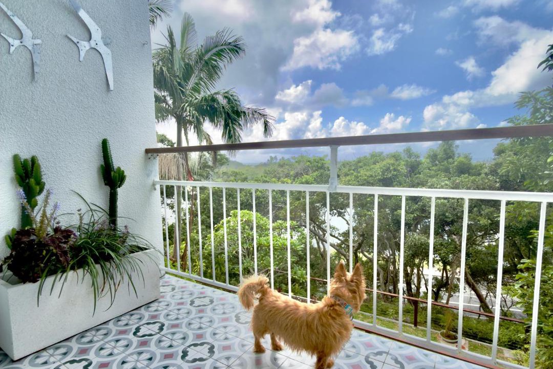 East Ballina Apartment | Salt & Sand - Pet-Friendly Apartments - Opposite Shaws Bay - East Ballina