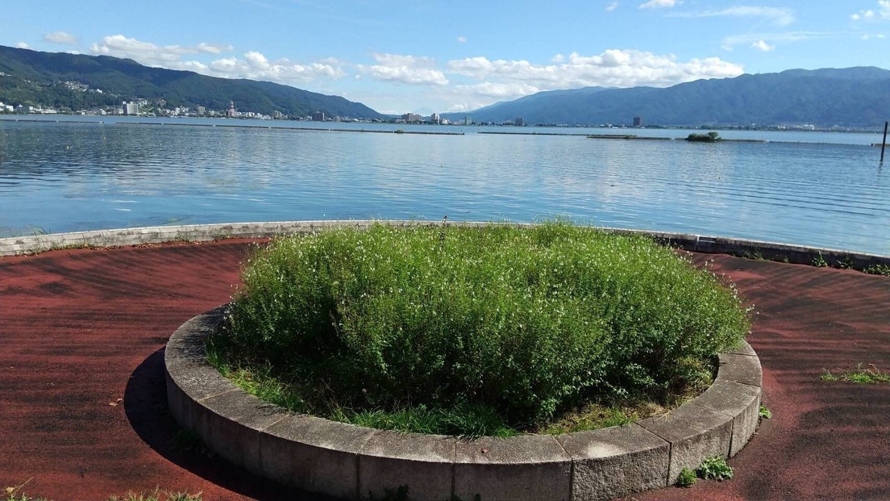 Photo of Outdoor in Shimosuwa