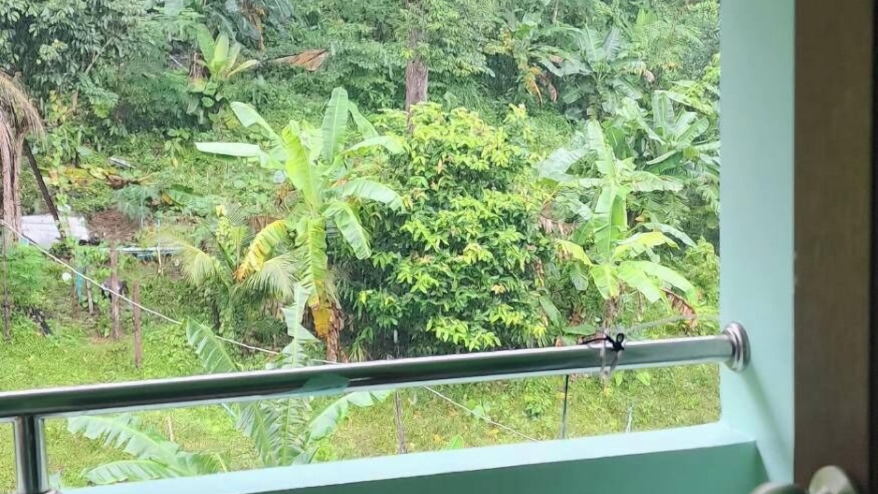 Photo of Outdoor in Nanai Road