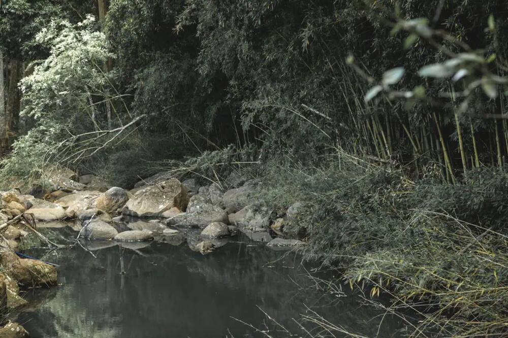 Photo of Outdoor in Upper Coopers Creek