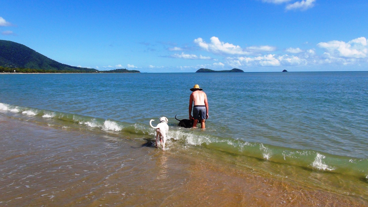 Photo of Others in Kewarra Beach