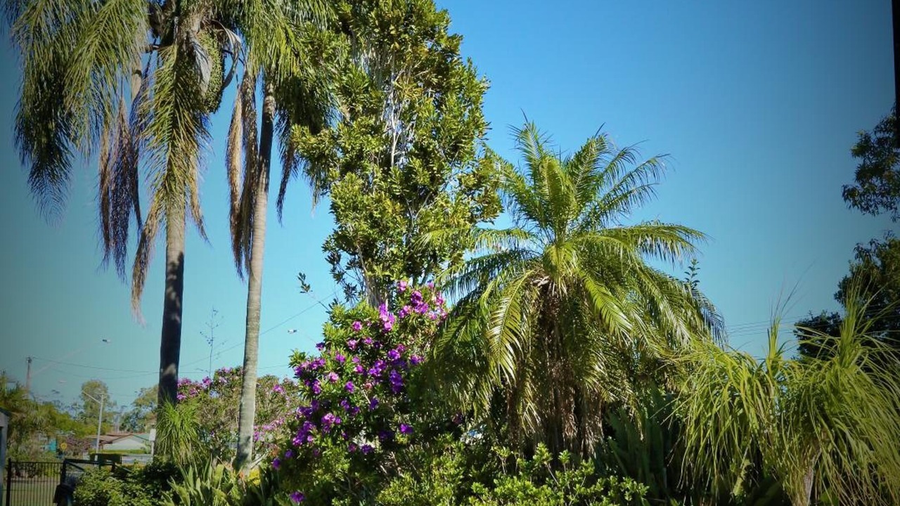 Photo of Outdoor in Ballina