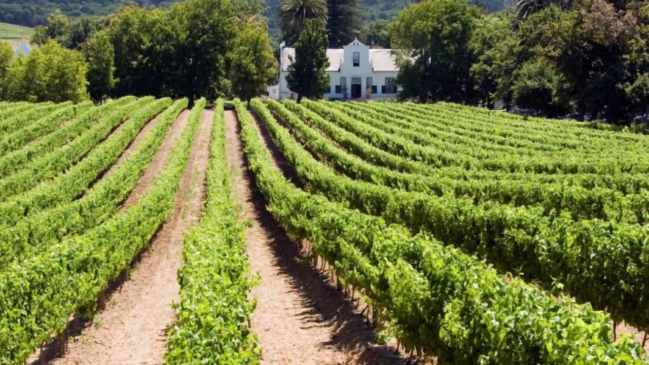 Photo of Others in Constantia
