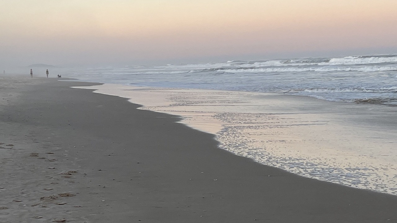 Photo of Others in Ocean Shores