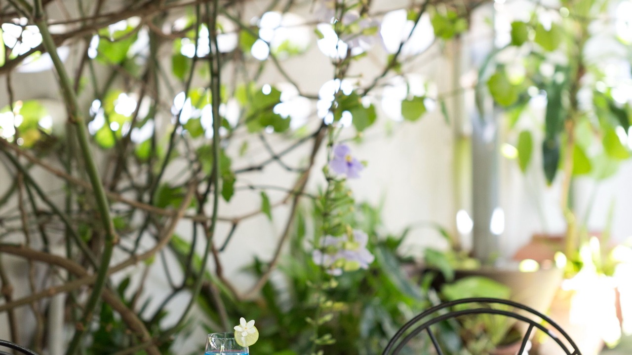 Photo of Outdoor in Chalong