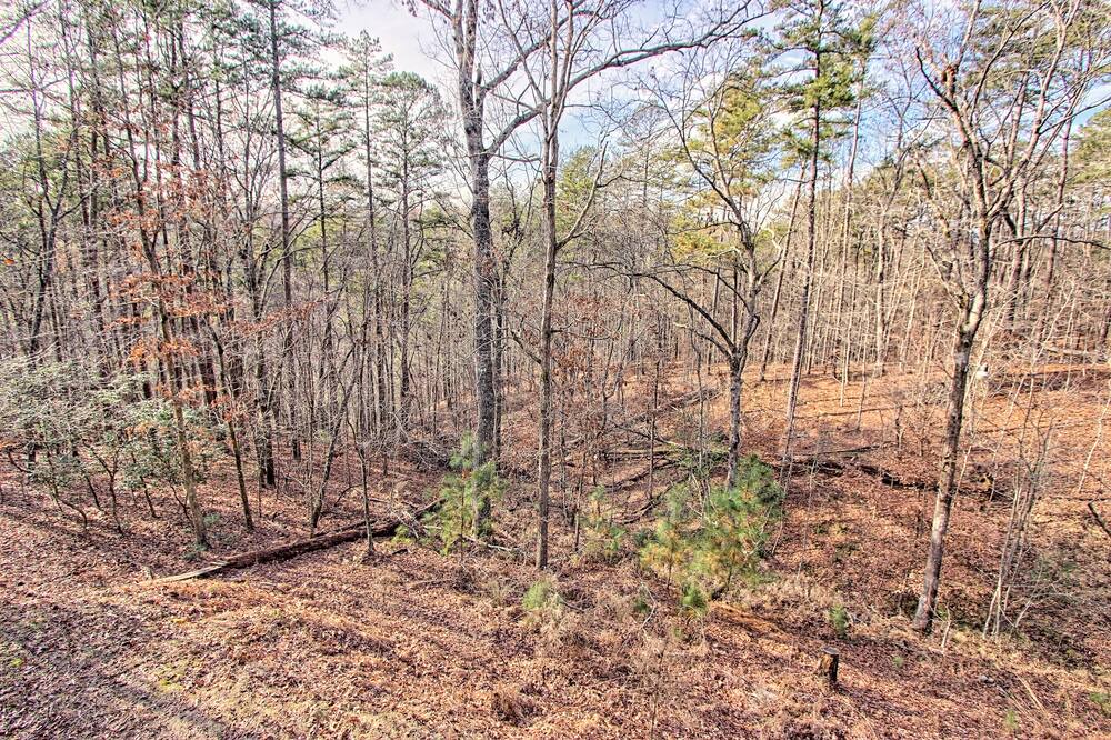 Photo of Others in Ellijay