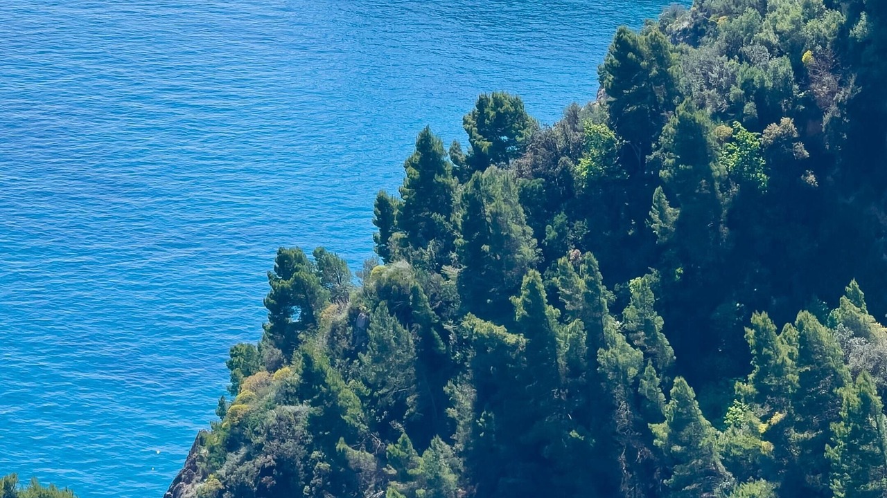 Photo of Others in Conca dei Marini