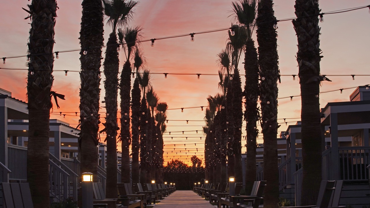 Photo of Outdoor in Lincoln Acres