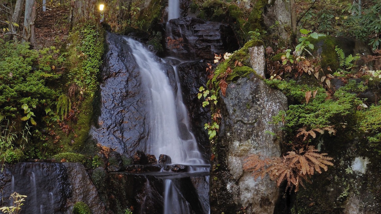 Photo of Outdoor in Yudanaka Shibu Onsen