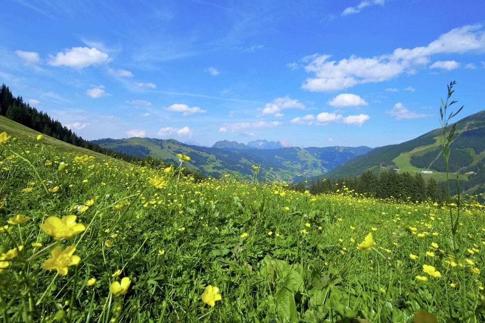 Photo of Others in Vorderglemm