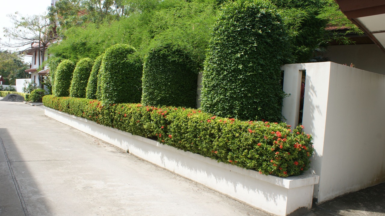 Photo of Outdoor in Rawai