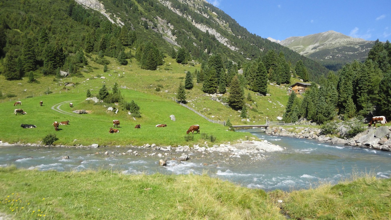Photo of Others in Konigsleiten