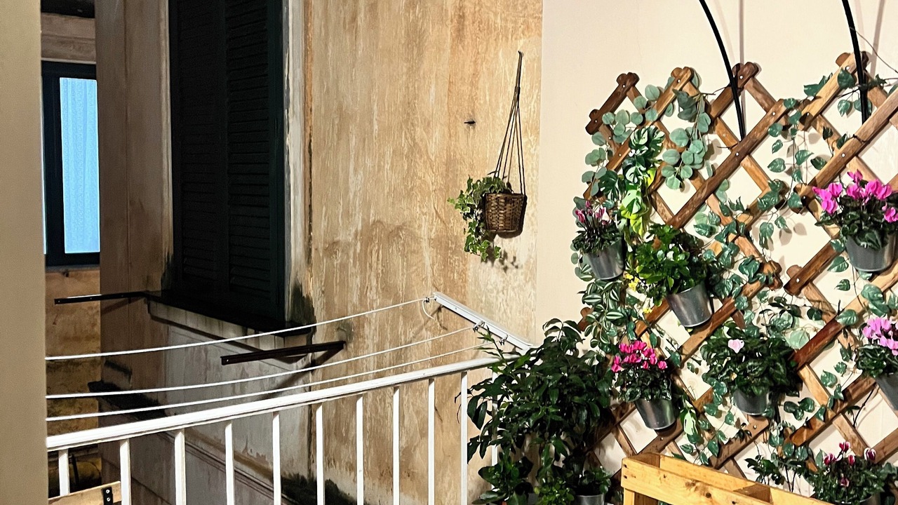 Photo of Others in Amalfi