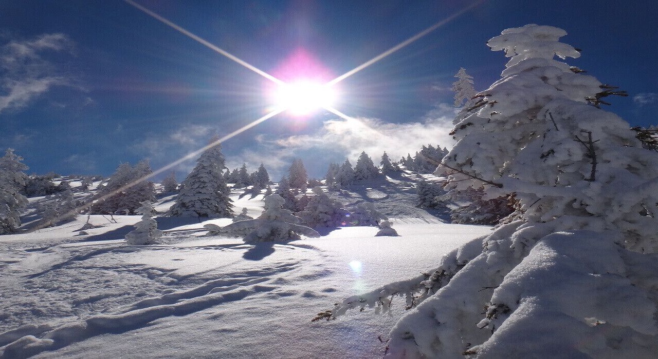 Photo of Others in Kitzbuehel