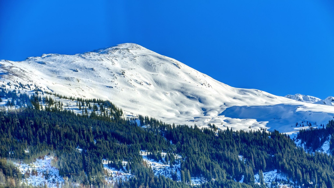 Photo of Others in Hollersbach im Pinzgau