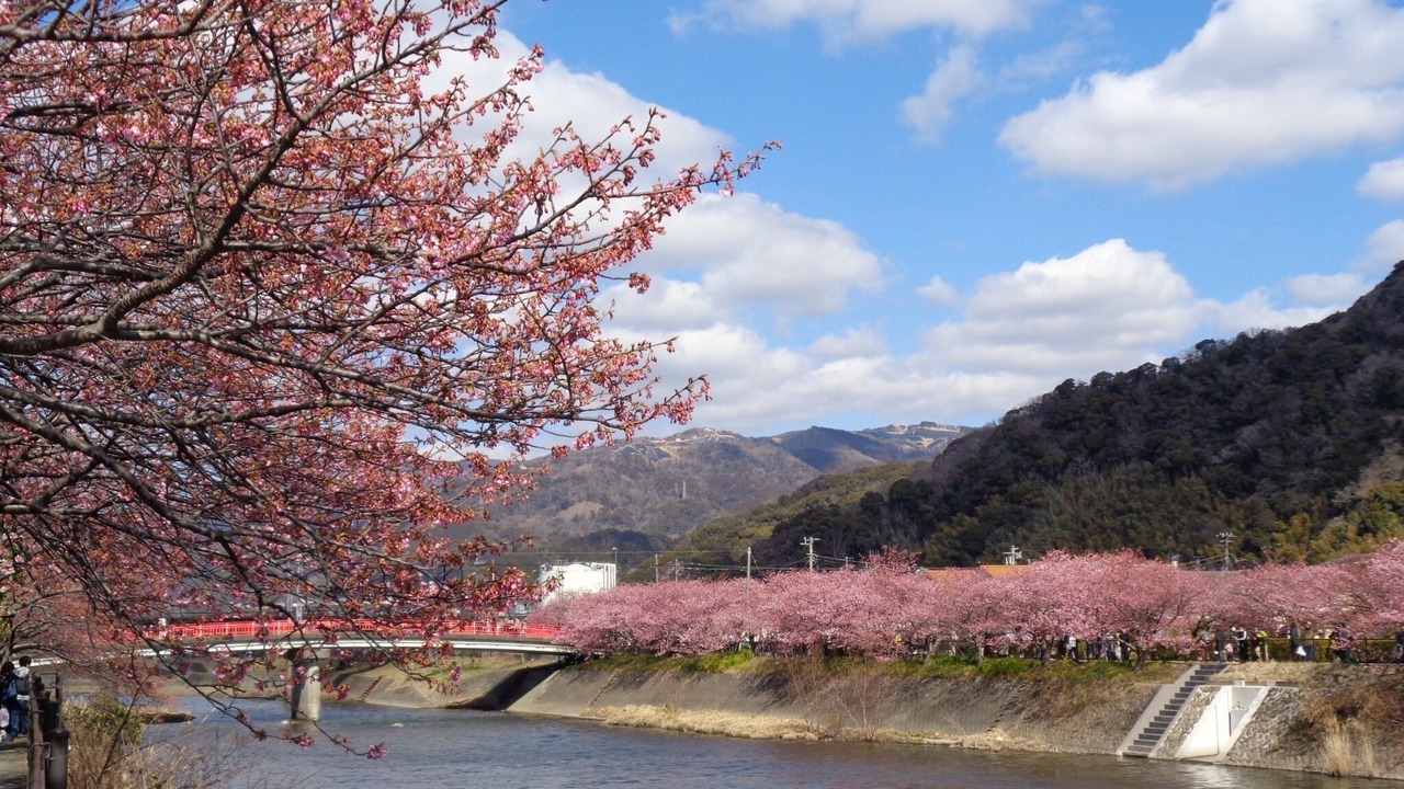 Photo of Others in Yatsu