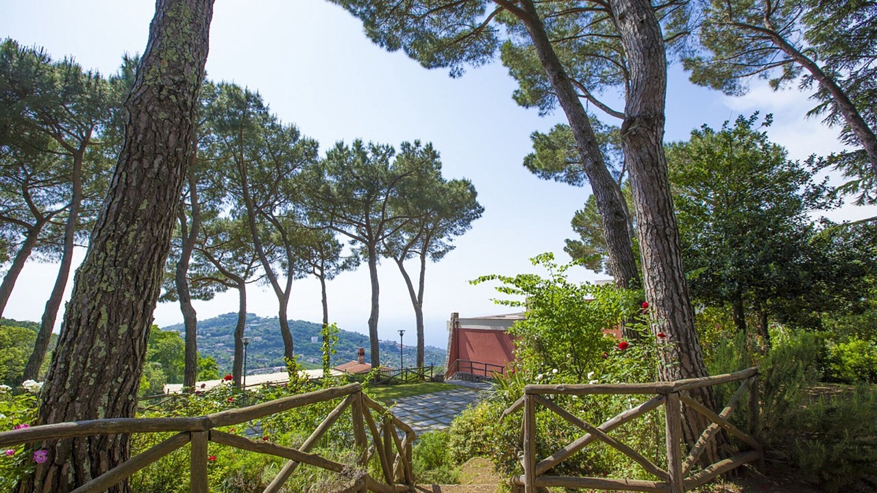 Photo of Outdoor in Sorrento