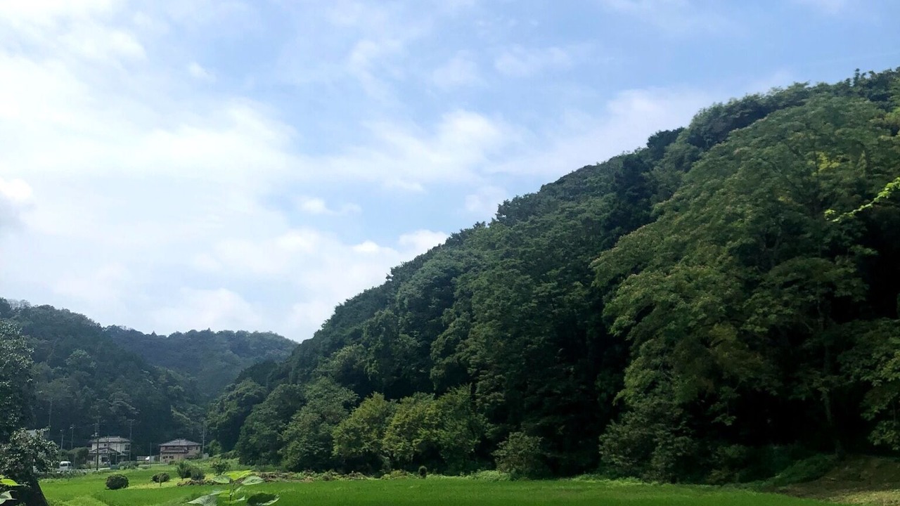 Photo of Others in Fujinomiya