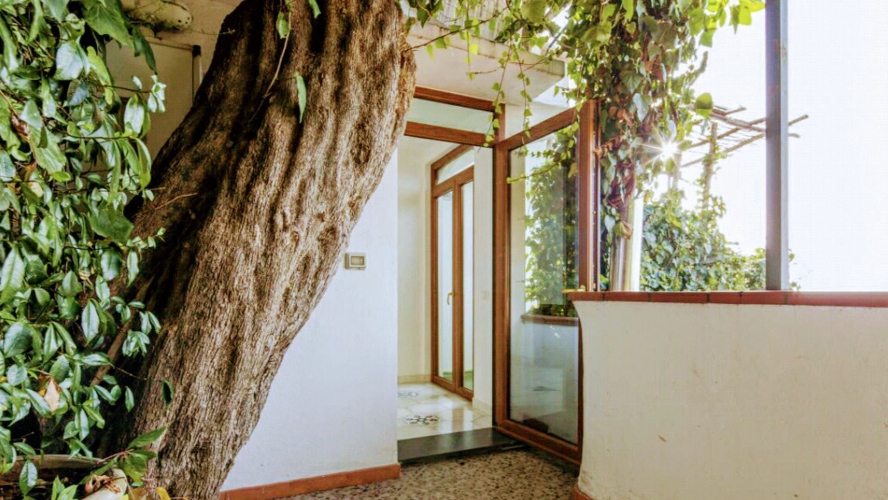 Photo of Outdoor in Conca dei Marini