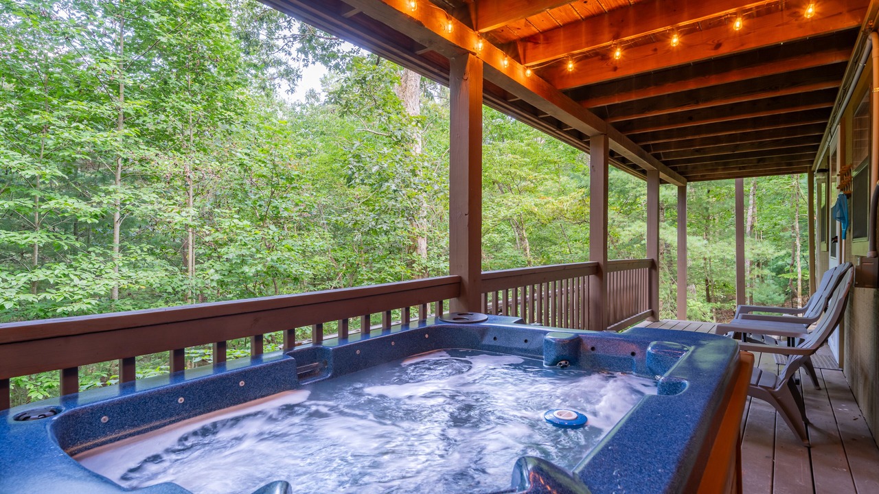 Photo of Others in Ellijay