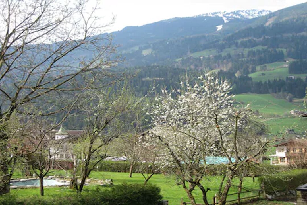 Photo of Outdoor in Stumm