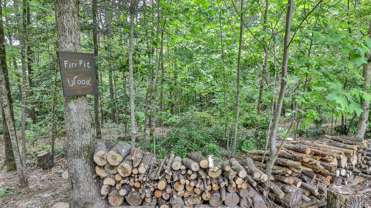 Photo of Others in Ellijay