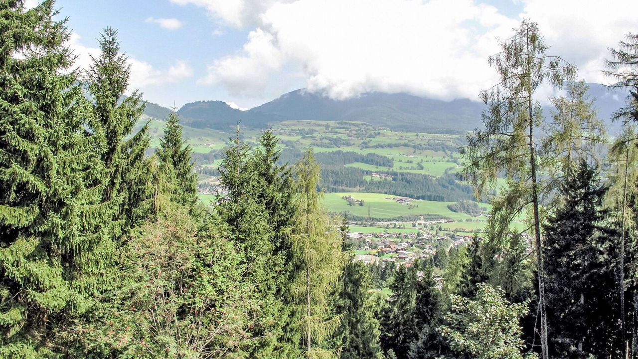Photo of Others in Hollersbach im Pinzgau