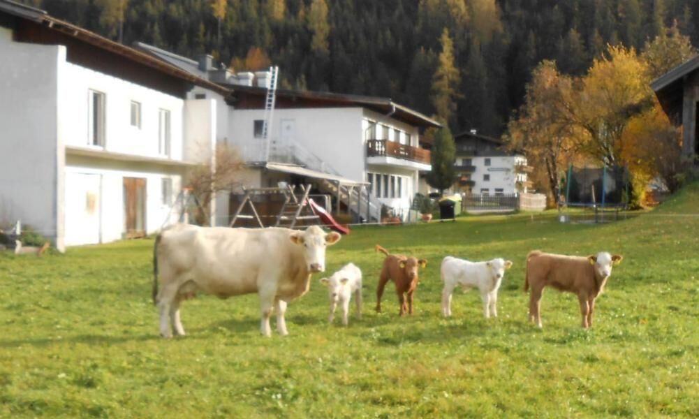 Photo of Outdoor in Hollersbach im Pinzgau