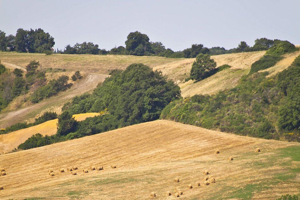 Photo of Others in Rapolano Terme