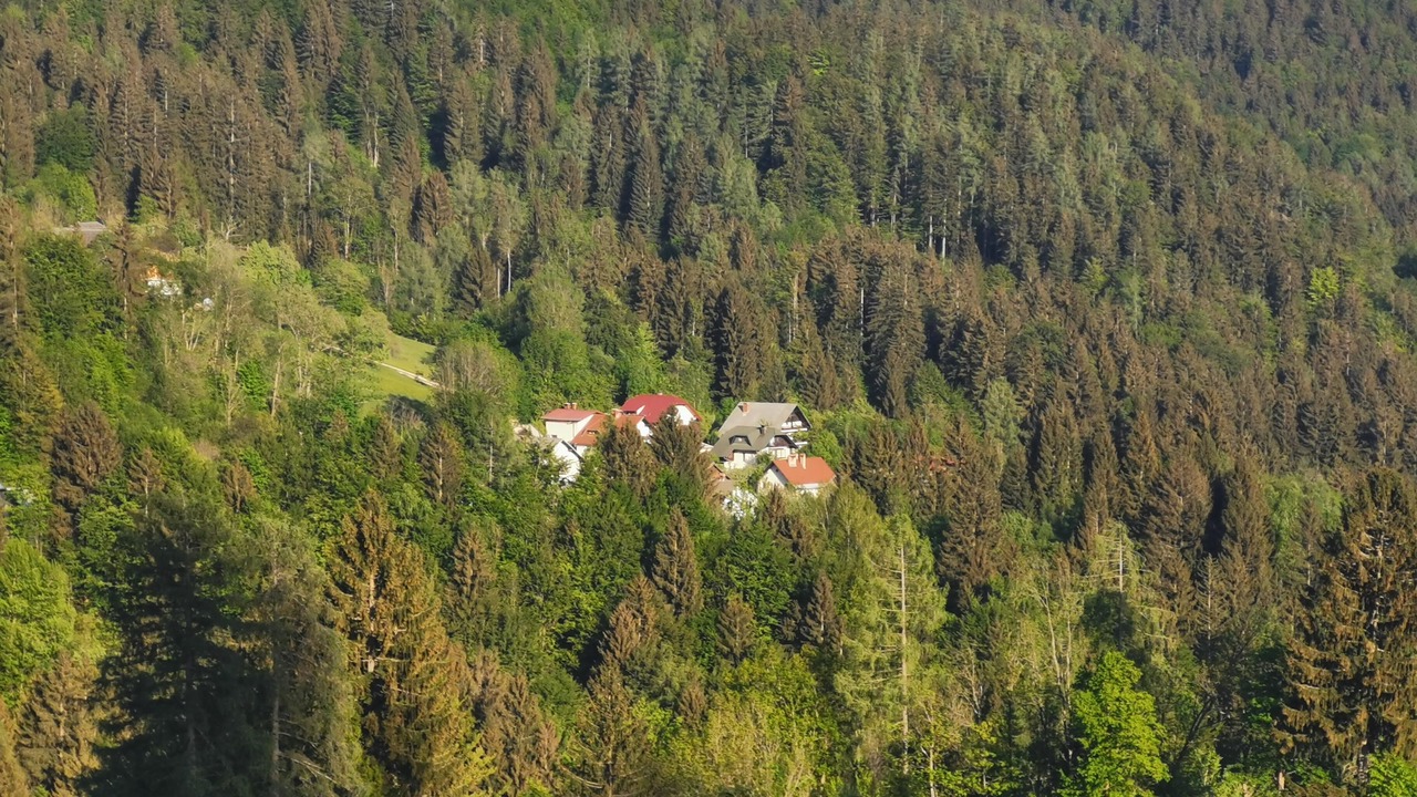 Photo of Others in Jesenice