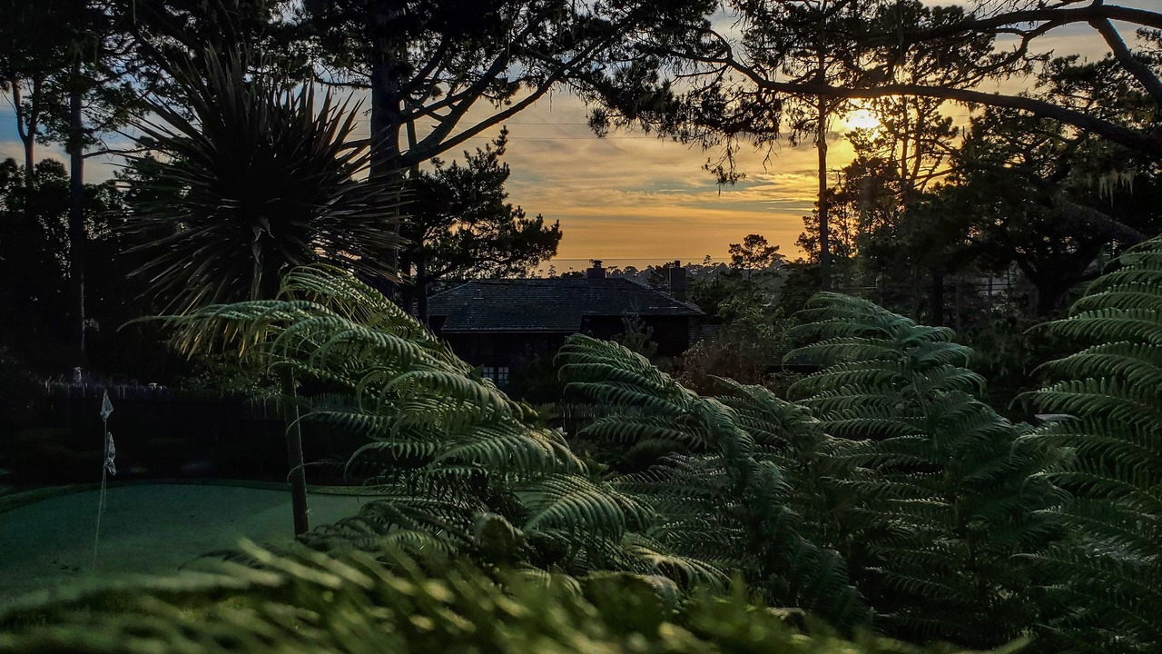 Photo of Outdoor in Pebble Beach