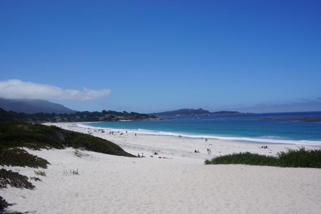 Photo of Others in Northwest Carmel