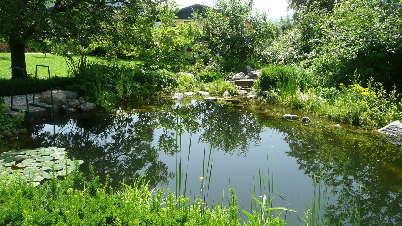Photo of Outdoor in Maishofen