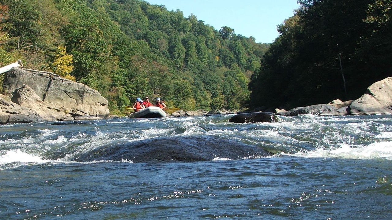 Photo of Others in Farmington