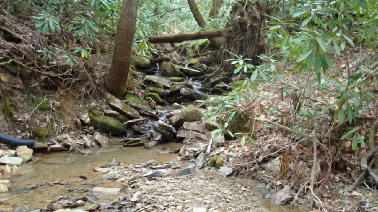 Photo of Others in Boone