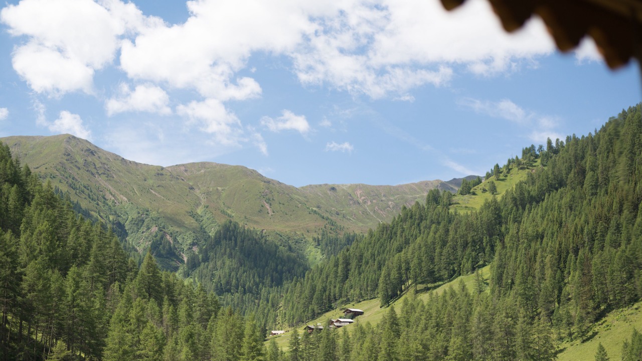 Photo of Others in Innervillgraten