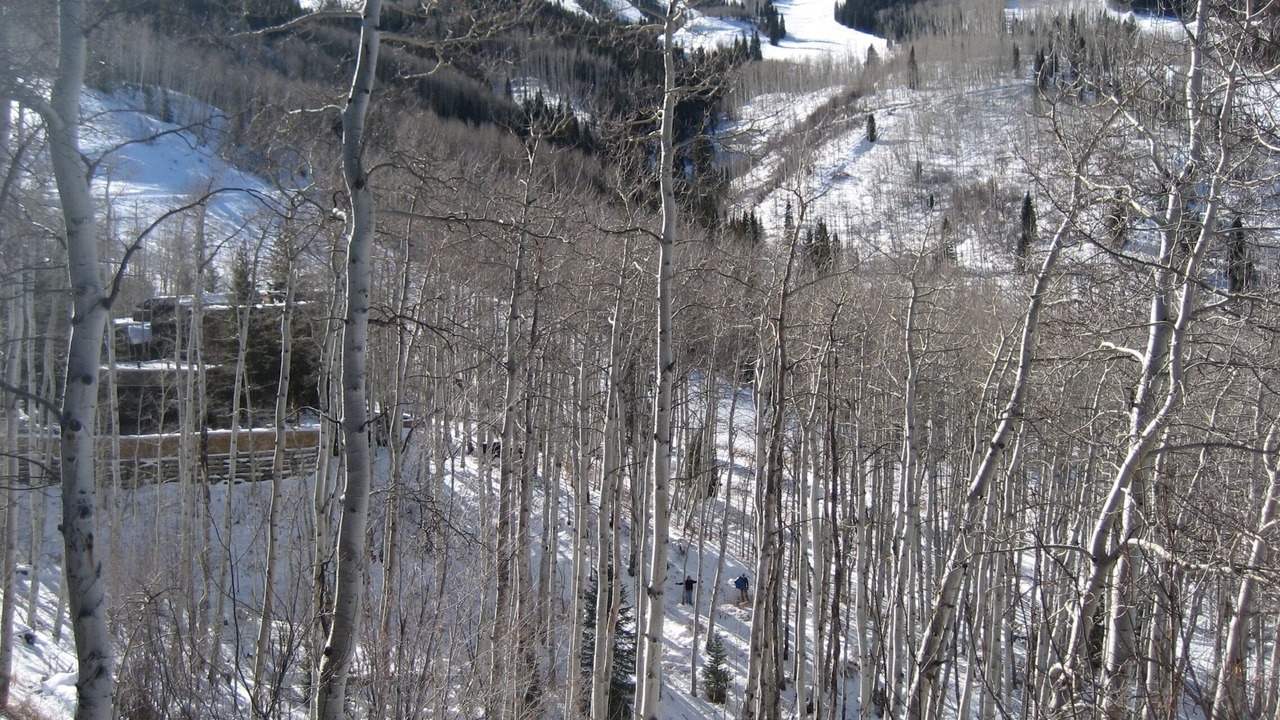 Photo of Others in Snowmass Village